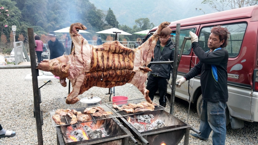 烤山豬