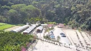 武界茶花香民宿活動紀錄-20210226