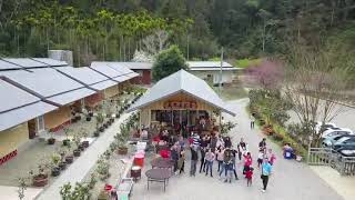 武界茶花香民宿活動紀錄-20210226